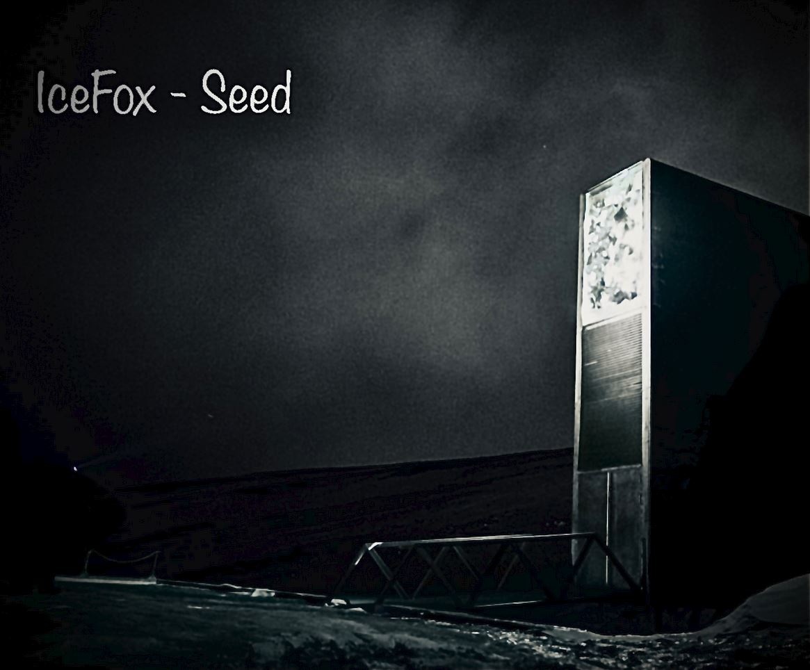 Seed — arctic vault at night